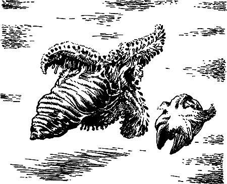 Димитр Ангелов, Йозеф Аугуста и др. - Исчезнувший мир