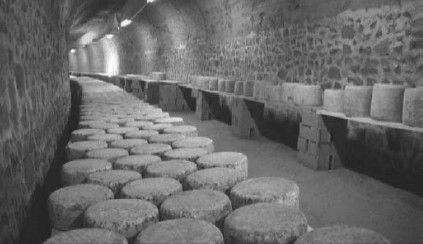 Леонид Рудницкий - Плесень - лекарство или яд?