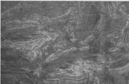 Дэвид Бирн - Весь мир: Записки велосипедиста