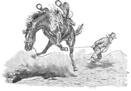 Анна Сьюэлл, Виль Джемс - Дымка. Черный Красавчик (сборник)