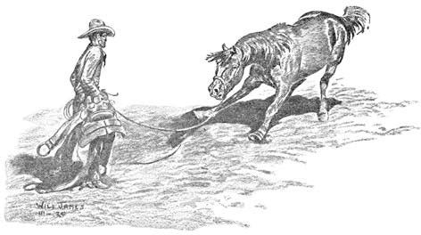 Анна Сьюэлл, Виль Джемс - Дымка. Черный Красавчик (сборник)