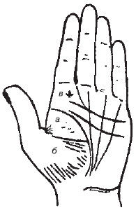 Теодор Шварц - Большая книга тайных знаний. Нумерология. Графология....