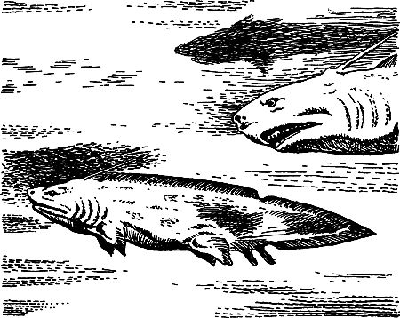 Димитр Ангелов, Йозеф Аугуста и др. - Исчезнувший мир