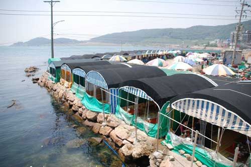 Андрей Кощиенко - Файтин! [с иллюстрациями]