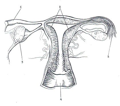 Мария Лазурная - Как достичь надежности в близких отношениях и уверенности в себе