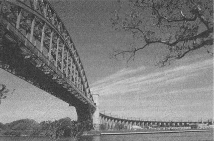 Дэвид Бирн - Весь мир: Записки велосипедиста