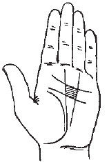 Теодор Шварц - Большая книга тайных знаний. Нумерология. Графология....