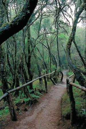 Анна Фельтина - Все об Испании