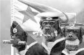 Владимир Бойко - Не служил бы я на флоте... II (сборник)