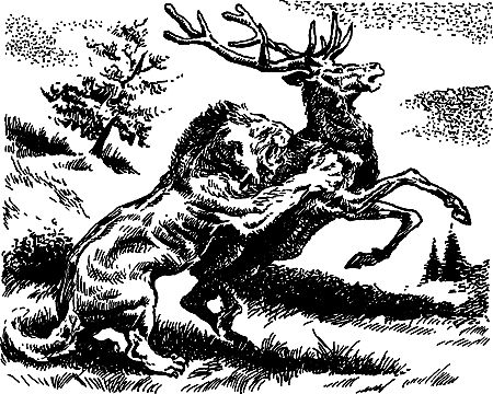 Димитр Ангелов, Йозеф Аугуста и др. - Исчезнувший мир