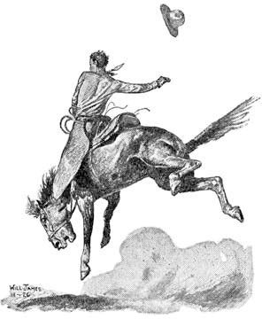 Анна Сьюэлл, Виль Джемс - Дымка. Черный Красавчик (сборник)