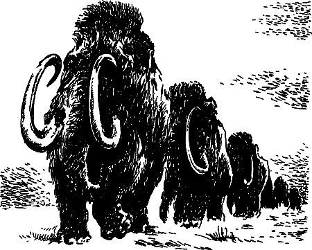 Димитр Ангелов, Йозеф Аугуста и др. - Исчезнувший мир