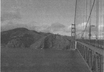 Дэвид Бирн - Весь мир: Записки велосипедиста