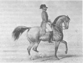 Домини Жандо - История мирового цирка