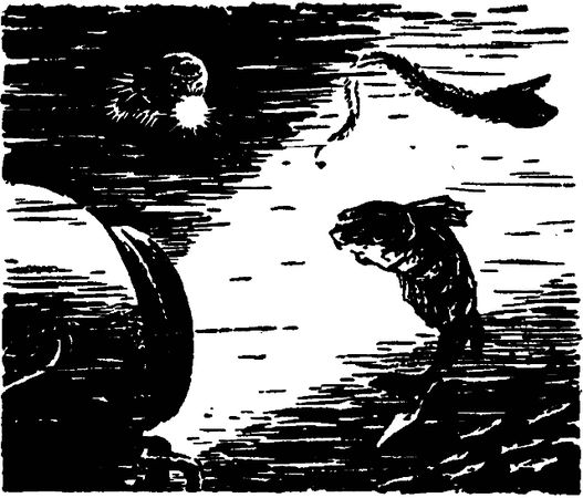 Борис Ляпунов - По следам Жюля Верна