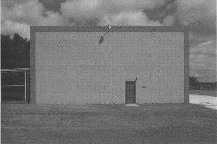 Дэвид Бирн - Весь мир: Записки велосипедиста