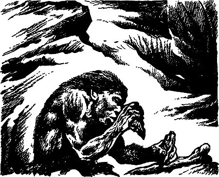 Димитр Ангелов, Йозеф Аугуста и др. - Исчезнувший мир