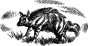 Димитр Ангелов, Йозеф Аугуста и др. - Исчезнувший мир