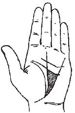 Теодор Шварц - Большая книга тайных знаний. Нумерология. Графология....