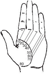 Теодор Шварц - Большая книга тайных знаний. Нумерология. Графология....