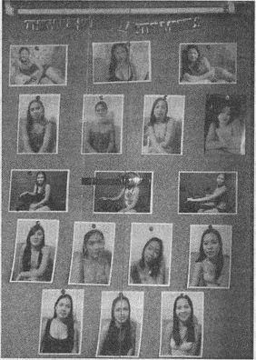 Дэвид Бирн - Весь мир: Записки велосипедиста