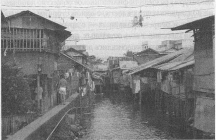 Дэвид Бирн - Весь мир: Записки велосипедиста