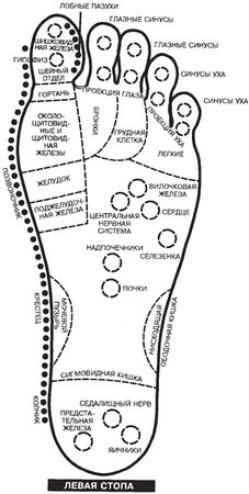 Ранжит Моханти - Лечебная сила магнита. Секреты индийских мудрецов