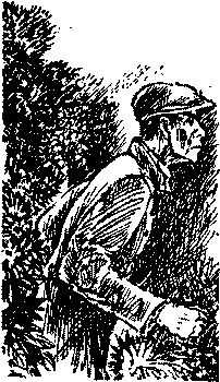 Георгий Брянцев - По тонкому льду