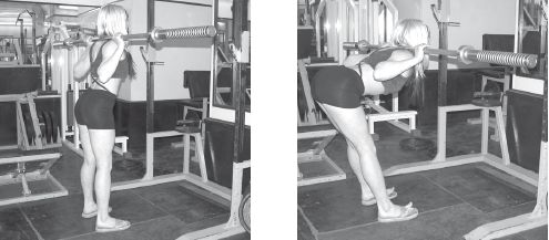 Инесса Шипилина, Игорь Самохин - Фитнес-спорт: учебник для студентов