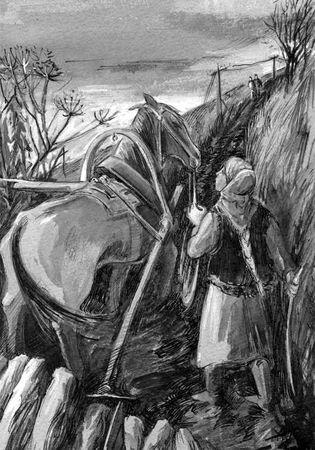 Виктор Драгунский, Станислав Дудкин - Он упал на траву...