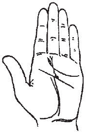 Теодор Шварц - Большая книга тайных знаний. Нумерология. Графология....