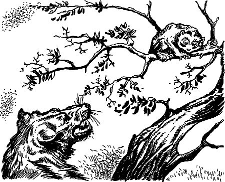 Димитр Ангелов, Йозеф Аугуста и др. - Исчезнувший мир