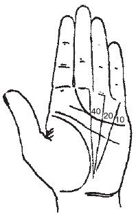 Теодор Шварц - Большая книга тайных знаний. Нумерология. Графология....