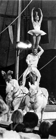 Домини Жандо - История мирового цирка