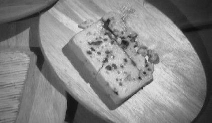 Леонид Рудницкий - Плесень - лекарство или яд?