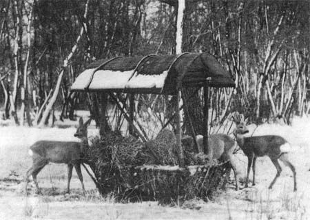 Сборник - Природа донского края