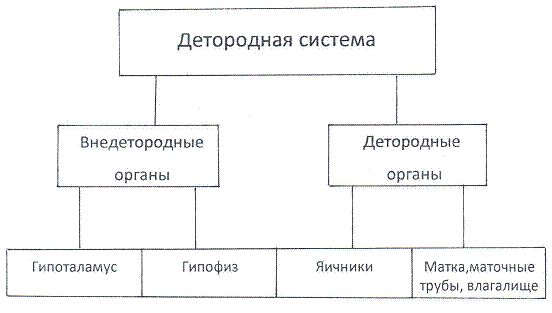 Мария Лазурная - Как достичь надежности в близких отношениях и уверенности в себе