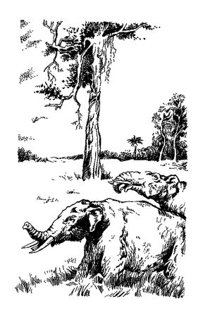 Димитр Ангелов, Йозеф Аугуста и др. - Исчезнувший мир