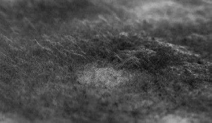 Леонид Рудницкий - Плесень - лекарство или яд?