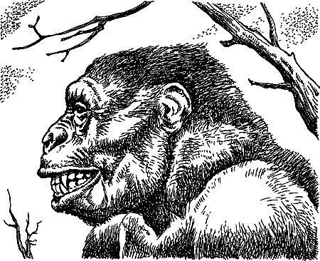 Димитр Ангелов, Йозеф Аугуста и др. - Исчезнувший мир