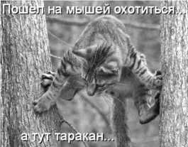 Владимир Бойко - Не служил бы я на флоте... II (сборник)