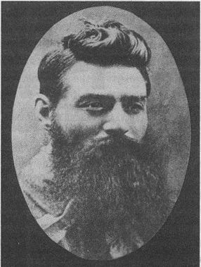 Дэвид Бирн - Весь мир: Записки велосипедиста