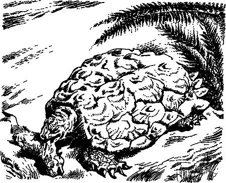 Димитр Ангелов, Йозеф Аугуста и др. - Исчезнувший мир