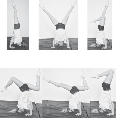 Инесса Шипилина, Игорь Самохин - Фитнес-спорт: учебник для студентов