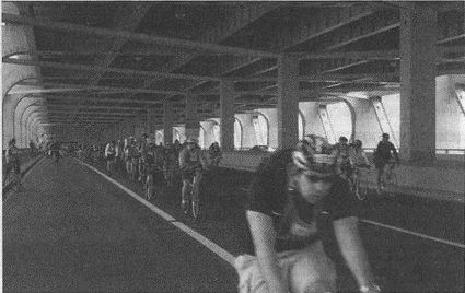 Дэвид Бирн - Весь мир: Записки велосипедиста