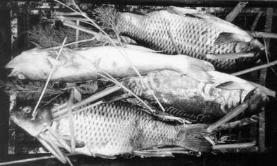 Александр Пышков, Сергей Смирнов - Рыбная кулинария для хозяек и рыболовов