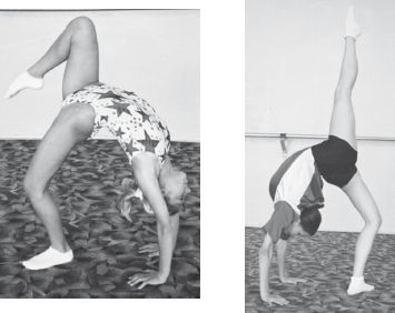 Инесса Шипилина, Игорь Самохин - Фитнес-спорт: учебник для студентов