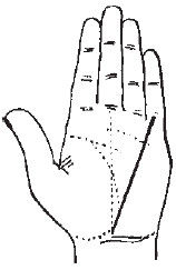 Теодор Шварц - Большая книга тайных знаний. Нумерология. Графология....