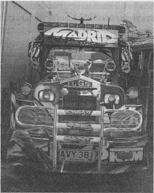 Дэвид Бирн - Весь мир: Записки велосипедиста