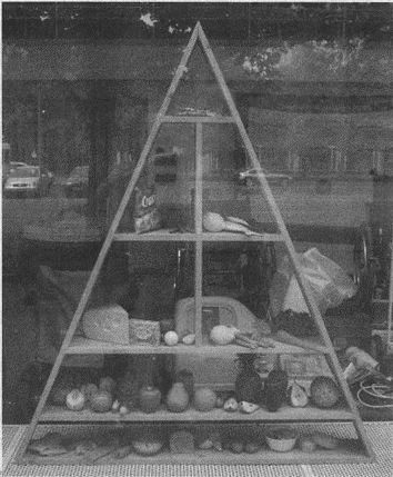 Дэвид Бирн - Весь мир: Записки велосипедиста